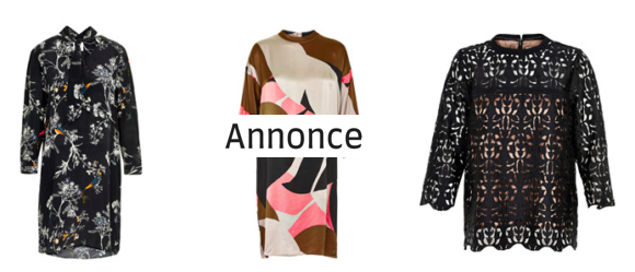 Skærmbillede 2017-02-17 kl. 05.39.38