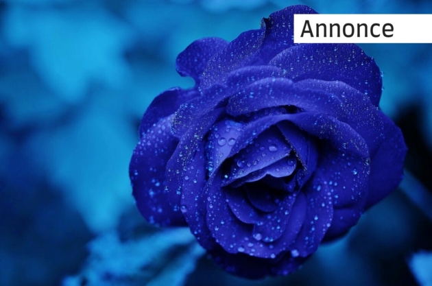 3 ting der bør huskes til konfirmationen